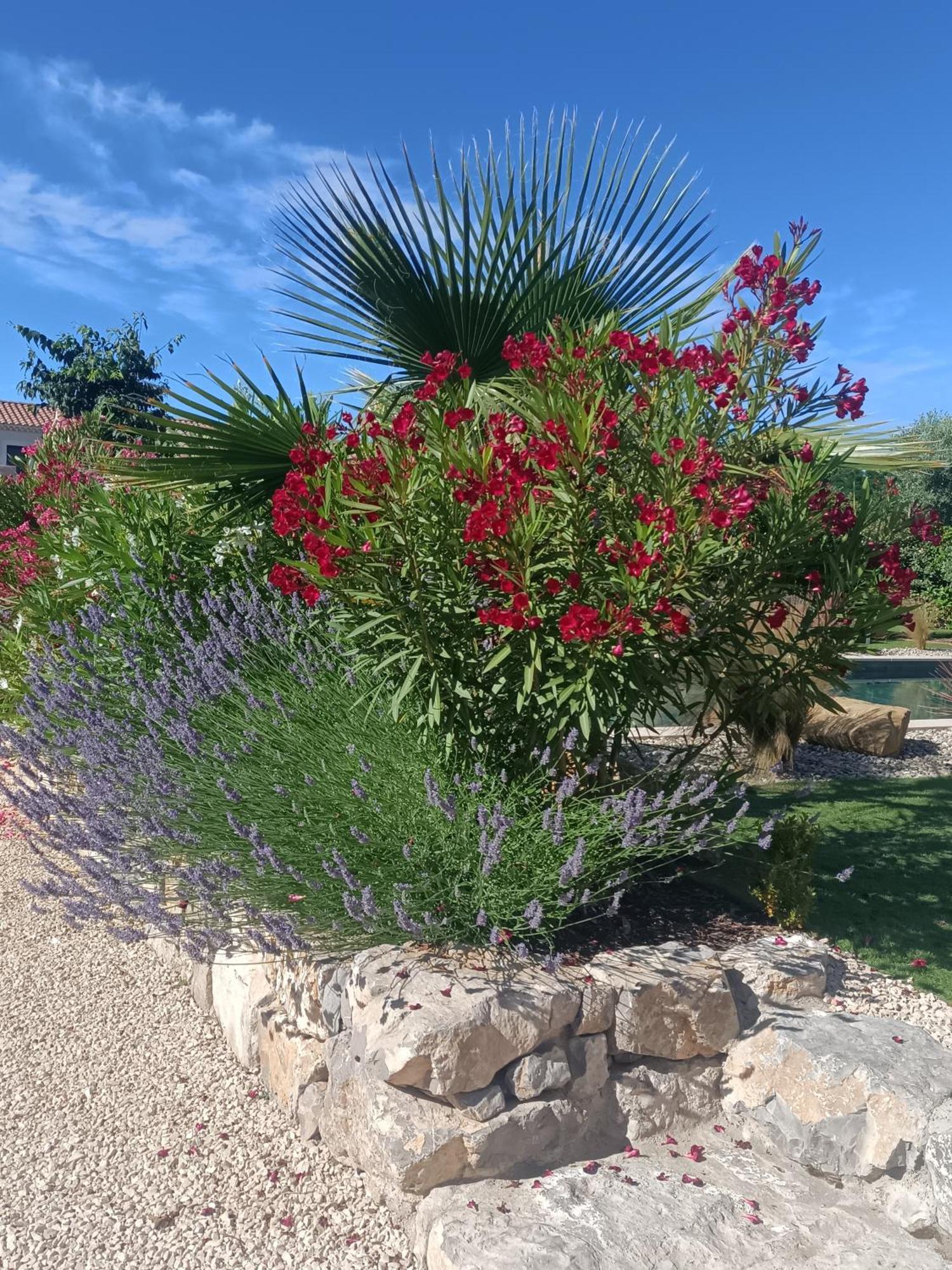 Douce Provence Magnifique Neuf Avec Jardin Proche Du Centre * Vaison-la-Romaine